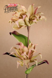 Kvet zelen.fial. 78cm3-192L