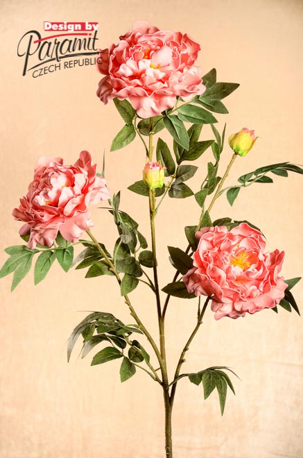 Pivonka ruž.100cm 3-46P