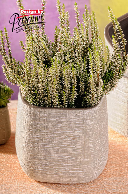 Asymetrie obal sedy 12cm 321-12GY