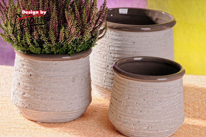 Natur obal sedy 12cm 323-12GY
