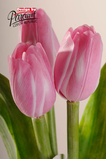 Tulipan kvet 40 cm 107P8ruzovo biela