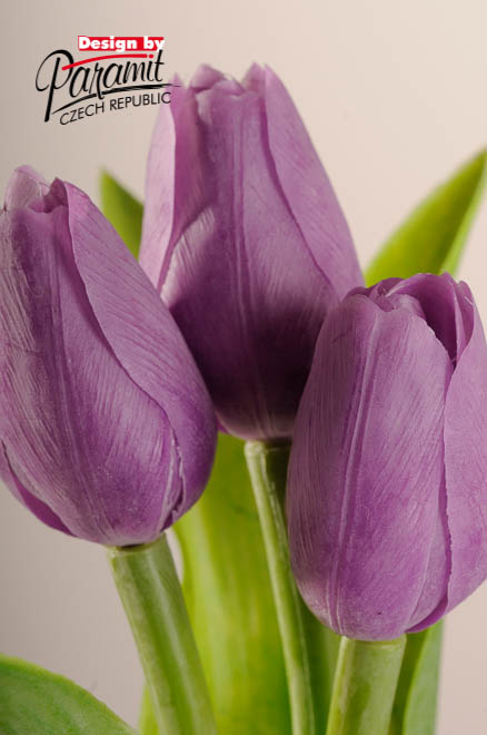 Tulipan kvet 40 cm 107 P fialová