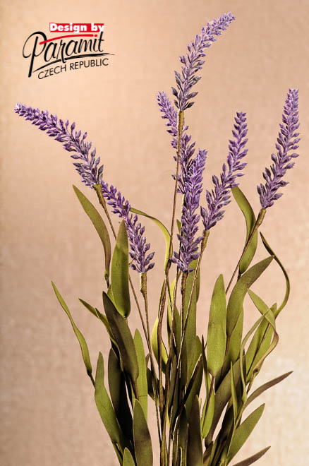 Levandula F109