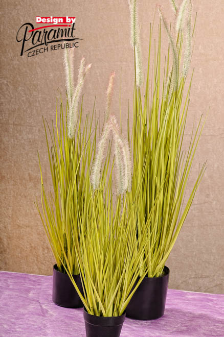 Tráva 56cm F205-56