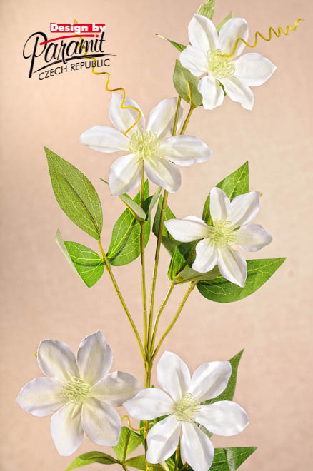 Klematis biel.78cm F220-W