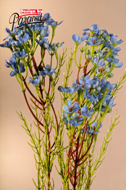 Waxflower modr. 78cm F222-BL