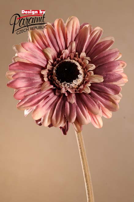 Gerbera 53cm ruž. F248-P