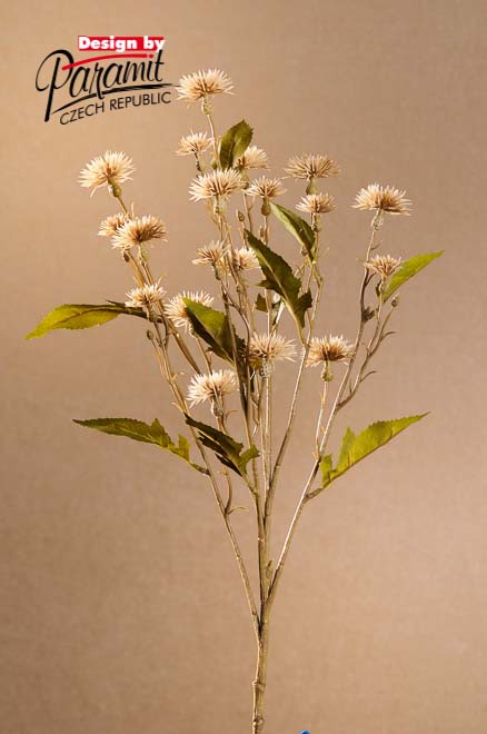 Sweet Daisy 72cm cream. F252-C