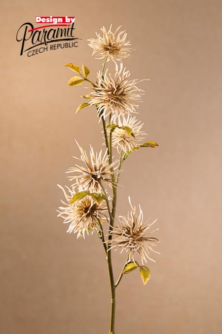 Xanthium 53cm cream F258-C
