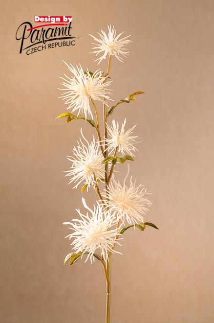 Xanthium 53cm biel. F258-W