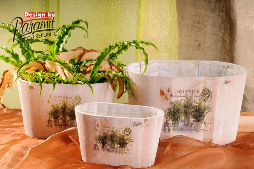 Truhlík papraď 3d.set20,5cm, 25cm, 30cm 2026