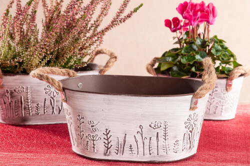 Plechový obal Rasputin 36cm 4061-36