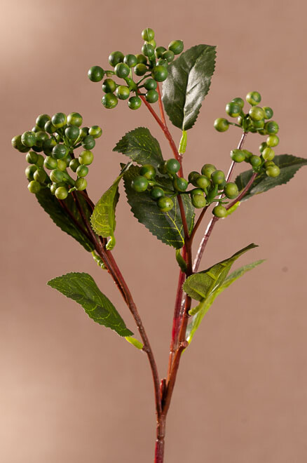 Wild Berry 53cm zel.F289-G